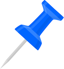 Pin